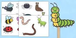 minibeast image