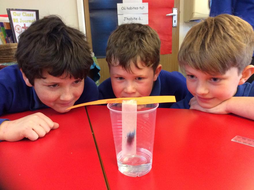 Science7
